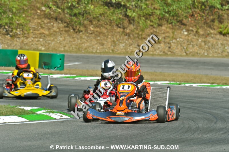 DSC_ (1034).JPG